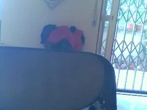 Cam4 Live Sex of sasamero