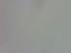 Cam4 Private Sex Chat of koralineee