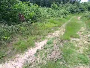 Cam4 Free Live Porn of remi06