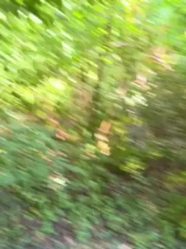 Cam4 Best live sex cam show of Bittchiz686868
