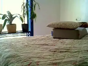Cam4 Sex Chat of paulastar3
