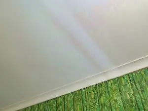 Cam4 Watch Live Sex Cams of mshairys