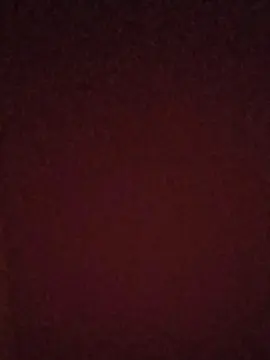 Cam4 Adult Webcam of Freak