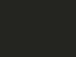 Cam4 Sex Chat of Deepstatement