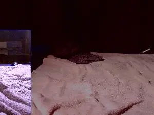 Cam4 Best Webcam of Deepstatement