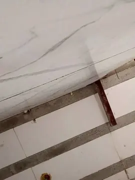 Cam4 Live Porn of PretoDot1