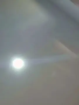 Cam4 Live Sex of didi2081