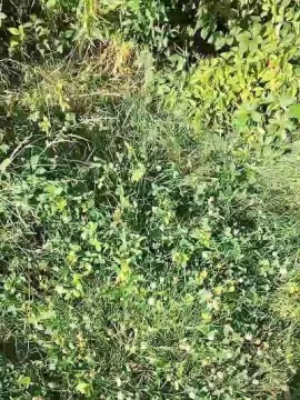 Cam4 Private Sex Chat of slipfun_sexy
