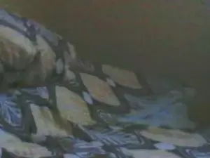 Cam4 Adult Webcams of BearContraste