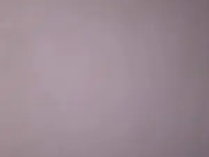Cam4 Live Sex Cam of popper4u