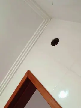 Cam4 Live Porn of Negaodorio21