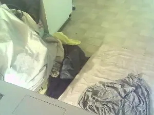 Cam4 Private Sex Chat of WillinglyWet