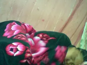 Cam4 Adult Webcams of sabrica007