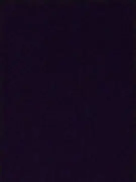 Cam4 Live Sex Cam of elpeluchecam