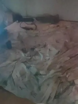 Cam4 Live Sex of jade1988xxx