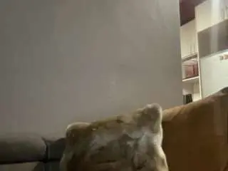 Camsoda Free Porn Cam of kingtgc