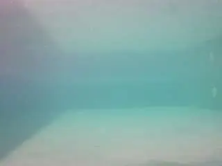 Camsoda Adult Webcam of voyeurcam-casa-salsa-pool-1