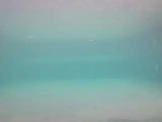 Camsoda Nude Webcam of voyeurcam-casa-salsa-pool-1