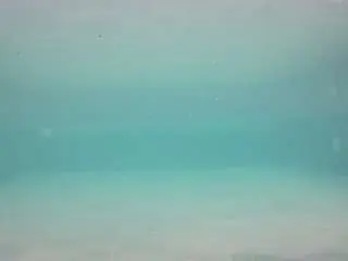 Camsoda Adult Webcam of voyeurcam-casa-salsa-pool-1