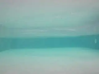 Camsoda Watch Live Sex Cams of voyeurcam-casa-salsa-pool-1