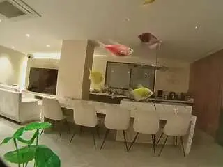 Camsoda Nude Webcam of voyeurcam-casa-salsa-fishtank