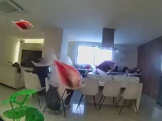 Camsoda Sex Chat of voyeurcam-casa-salsa-fishtank