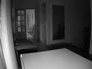 Camsoda Live Sex of voyeurcam-julmodels-hall-1st