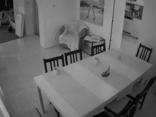 Camsoda Sex Chat of voyeurcam-julmodels-dining