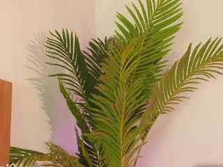 Camsoda Private Sex Chat of valery-swan