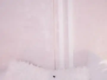 Chaturbate Live Porn of sunnmoonn