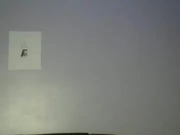 Chaturbate Watch Live Sex Cams of bigxcountry_39