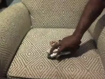 Chaturbate Live Sex Cam of kingofkingz74