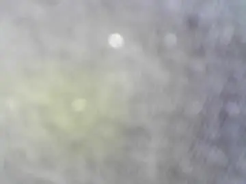 Chaturbate Live Porn of felicaste