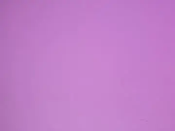 Chaturbate Adult Webcams of anais_delorme