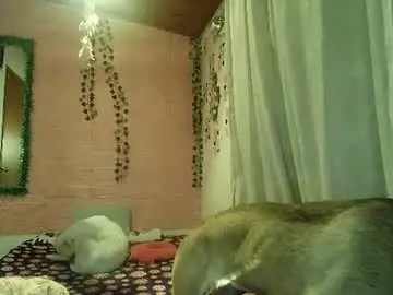 Chaturbate Watch Live Sex Cams of sexy_lolas
