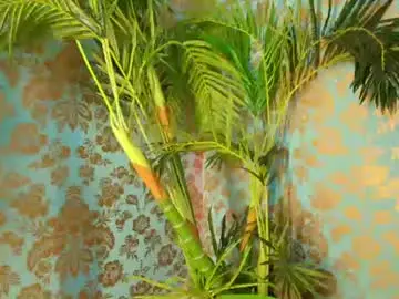 Chaturbate Sex Chat of alexa_cruz__