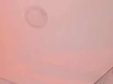 Chaturbate Best live sex cam show of hade_cute2
