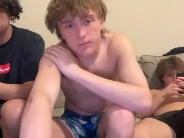 Chaturbate Nude Webcam of evanbrown333
