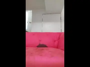 Chaturbate Best Webcam of dave3891