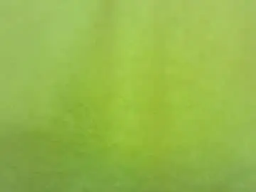 Chaturbate Sex Chat of georgempt