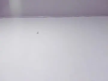 Chaturbate Free Porn Cam of nahomyrusell