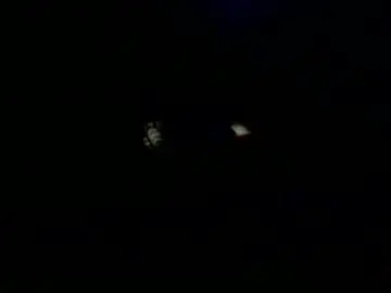 Chaturbate Live Porn of azjohnny