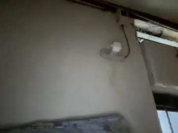 Chaturbate Live Porn of danemirabel