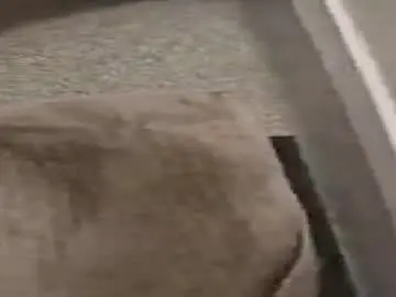 Chaturbate Private Sex Chat of aztecforeskin