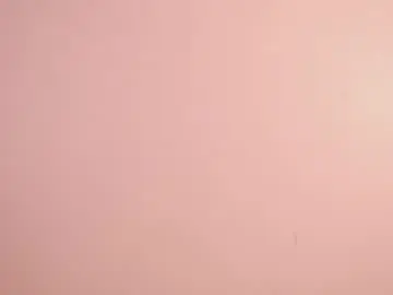 Chaturbate Free Live Porn of sunny_flower_