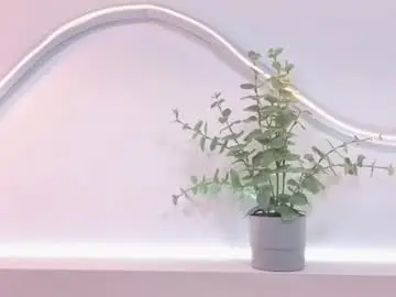 Chaturbate Best Webcam of daniilove_