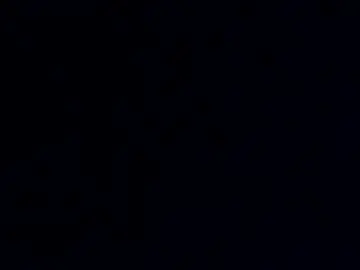 Chaturbate Sex Chat of phil55q