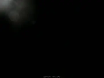 Chaturbate Live Porn of intellitease