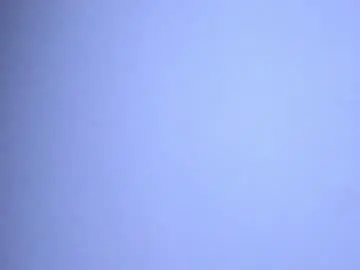Chaturbate Sex Cam of angel__antonella