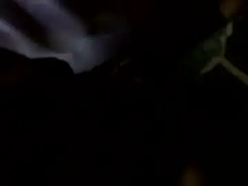 Chaturbate Sex Chat of transcendental_tara